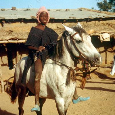 Mali Cheval1