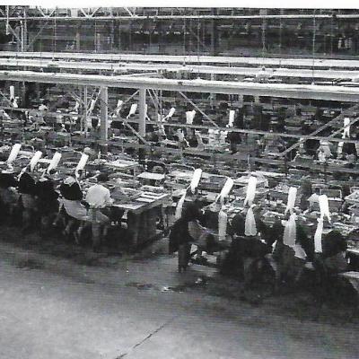 Lsdb P38a