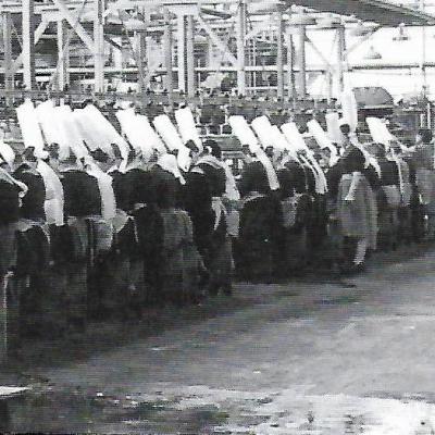 Lsdb P38b